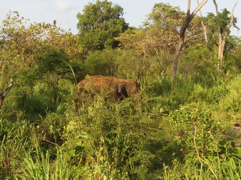 Kalum Tours - Sri Lanka-科奇克德必去景点