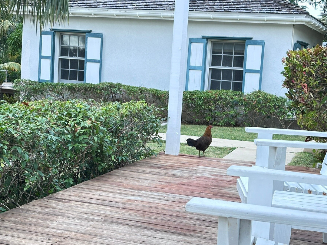 Squires Estate主图