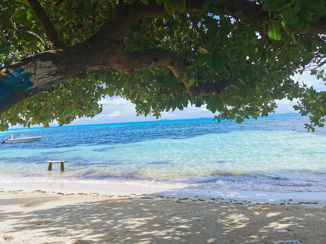 Endheri Sunset Dhangethi主图