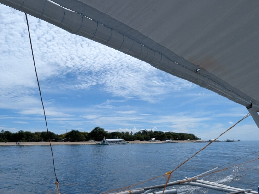 Balicasag Island Tour景点图片