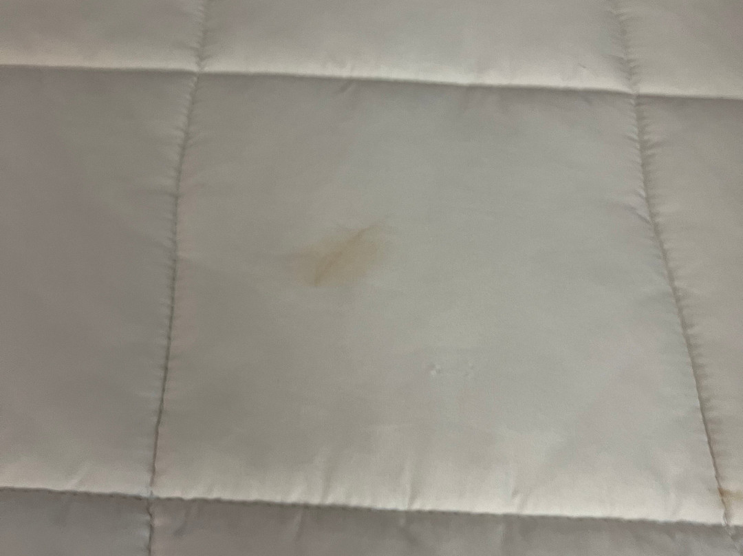 Best Western Gallup West主图