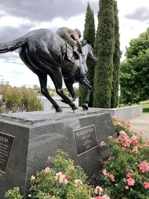 Black Caviar Statue-Nagambie必去景点