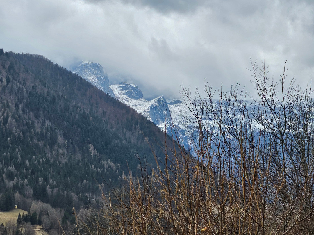 Albergo Pineta主图