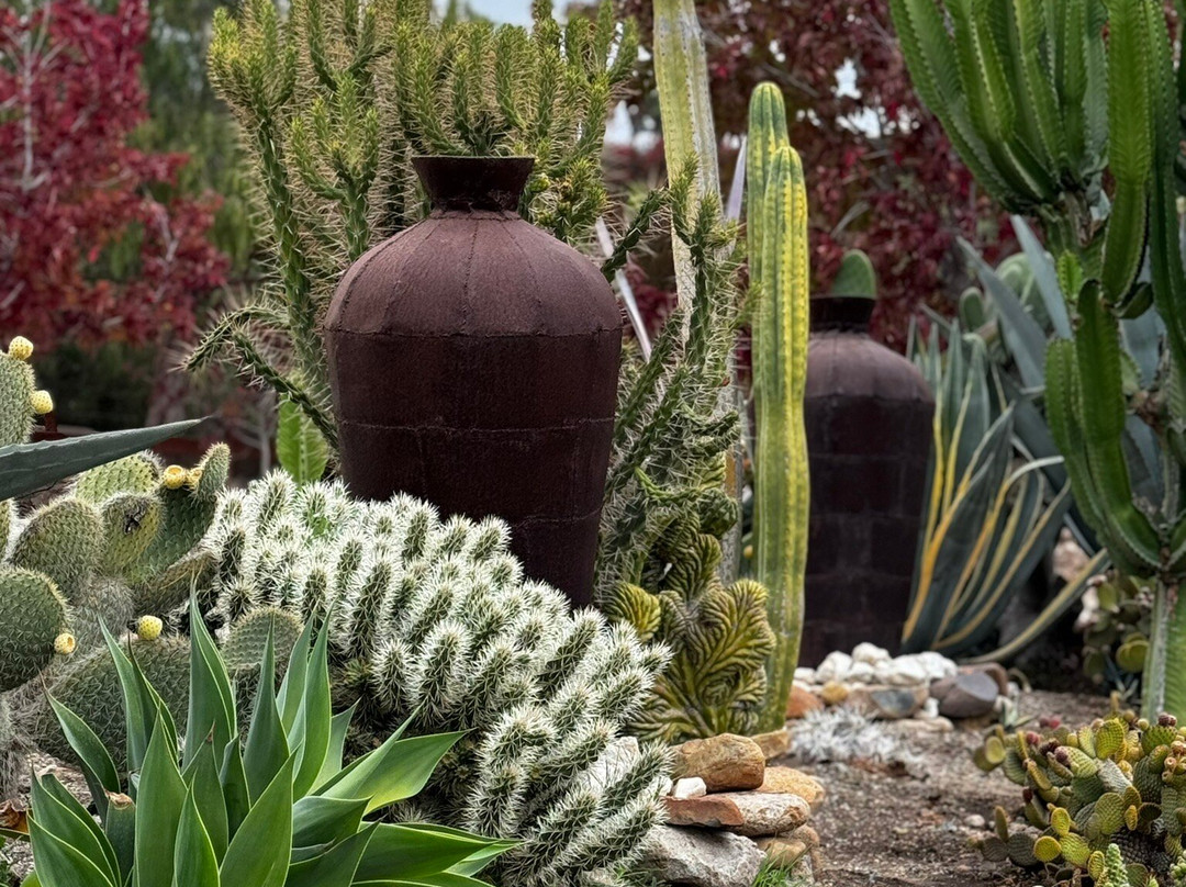 Hacienda Santa Cristina主图