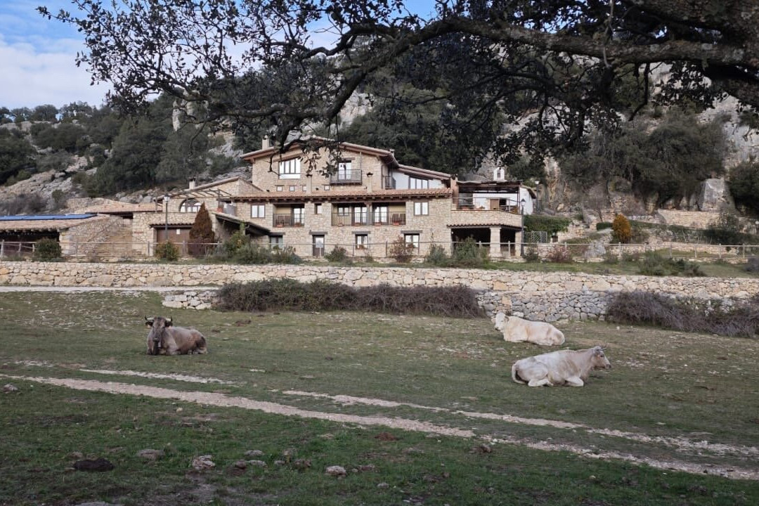 Font d'en Torres主图