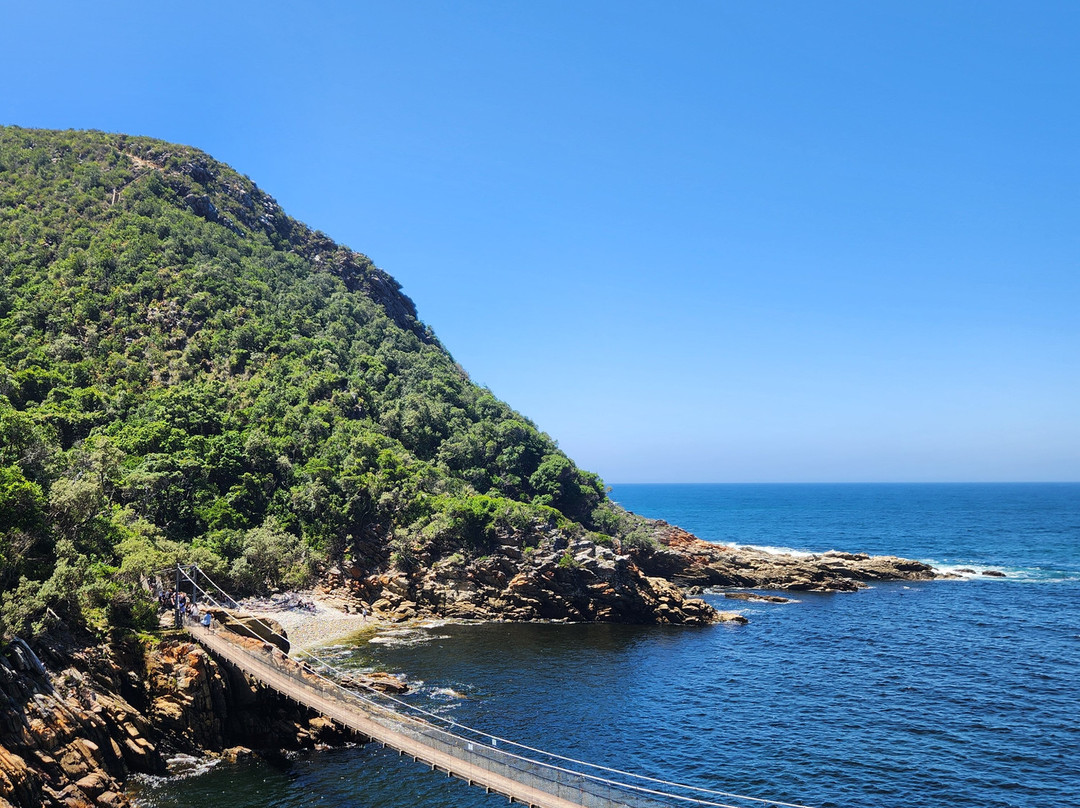 Umzantsi Afrika Tours-伊丽莎白港必去景点