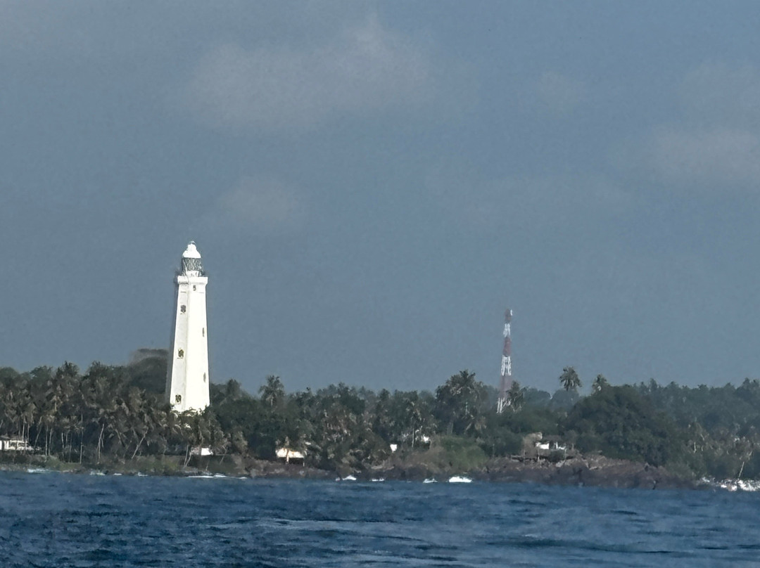 Mirissa Deep Fishing Tours景点图片