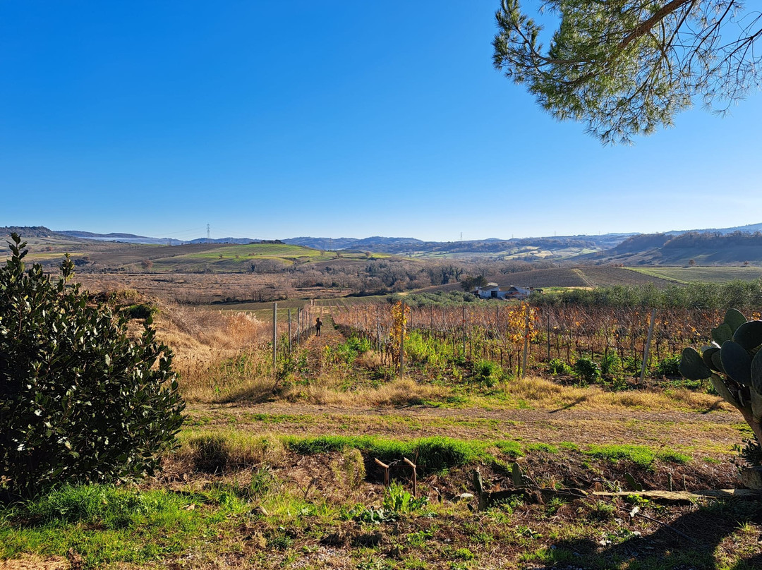 Agriturismo Poggio Alle Calle主图