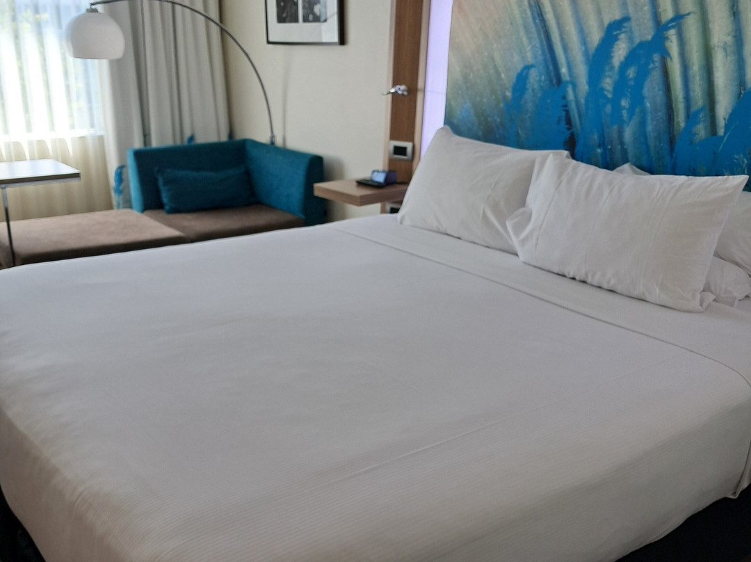 泰努伊汉密尔顿诺富特酒店主图