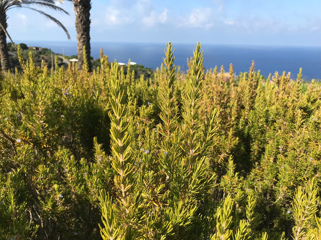 Pantelleria Dream Resort主图