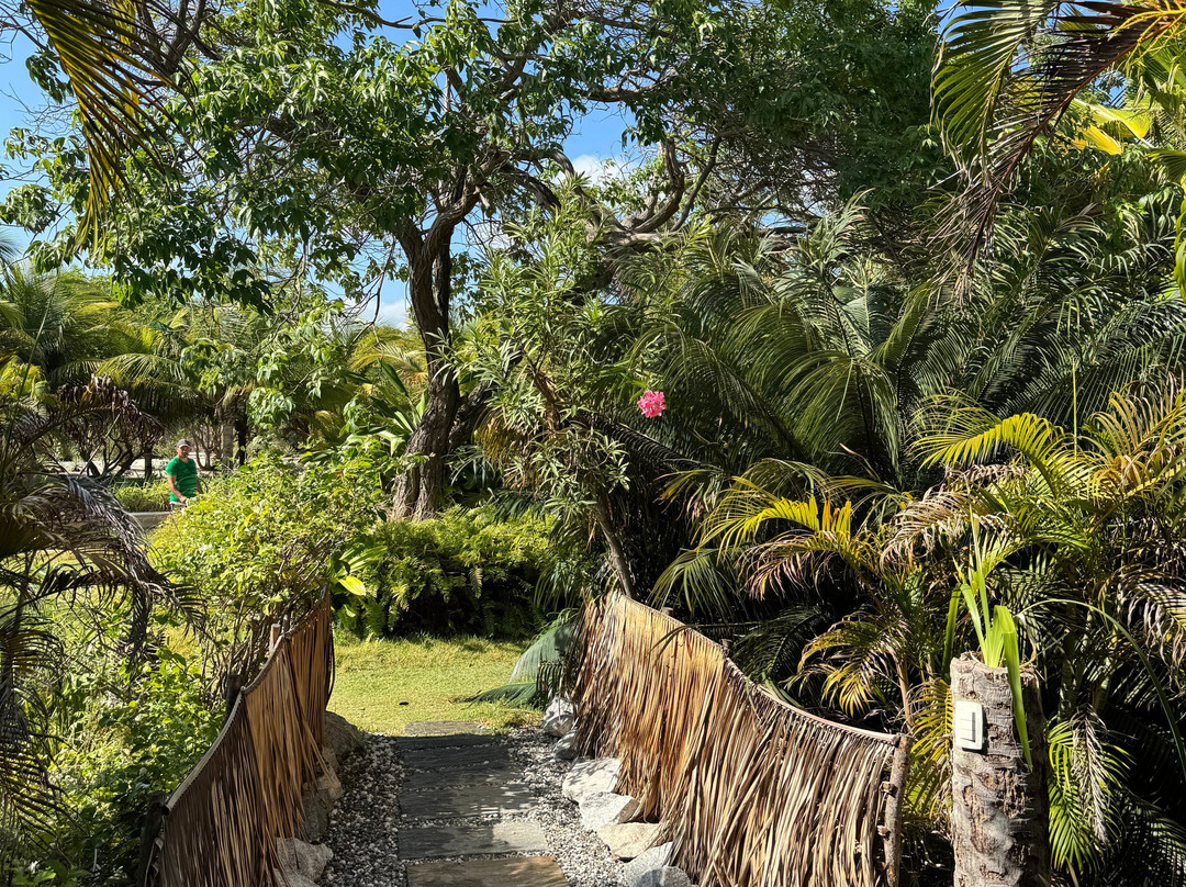 Castelo Vendôm主图