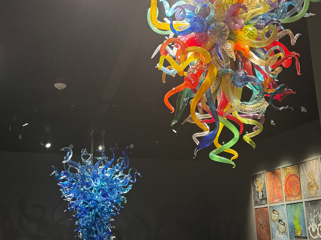 Chihuly Collection-圣彼德斯堡必去景点