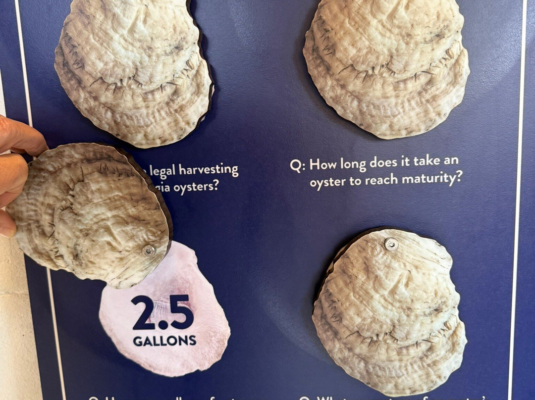 Pin Point Heritage Museum-萨凡纳必去景点