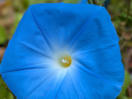 Coconut Tours-清莱必去景点