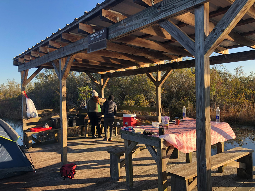Okefenokee & Satilla Expeditions LLC-Folkston必去景点