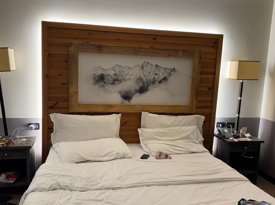 Hotel Principi di Piemonte主图