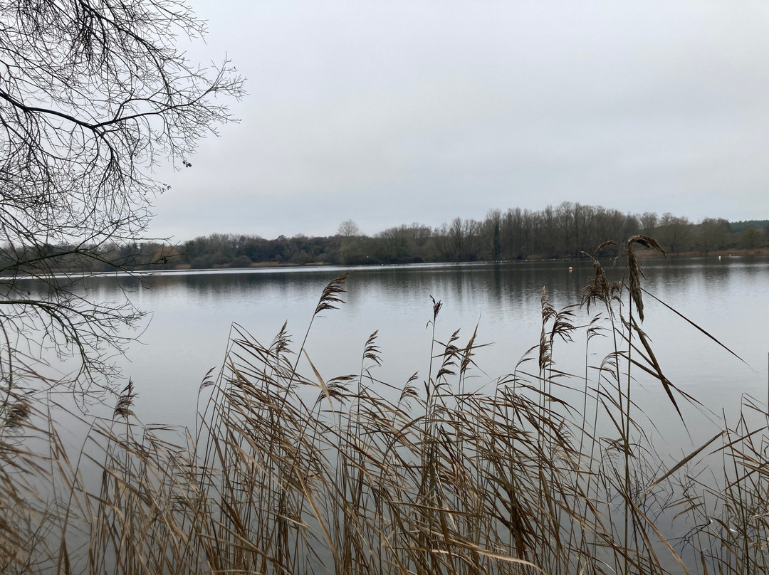 Lackford Lakes景点图片