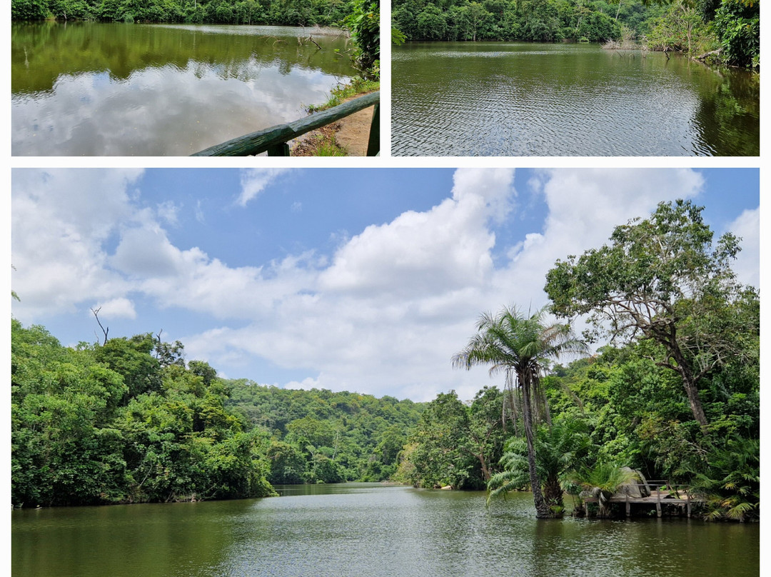 Pugu Hills Forest Reserve-Dar es Salaam必去景点