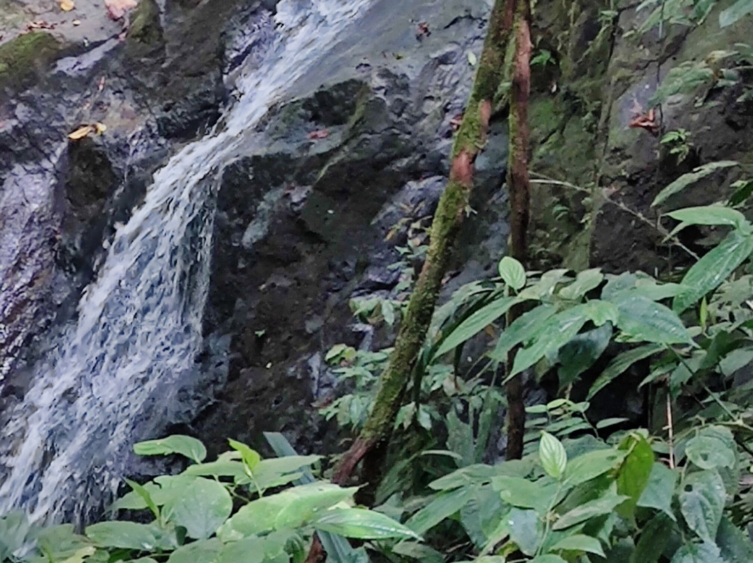 Parque Nacional Manuel Antonio景点图片