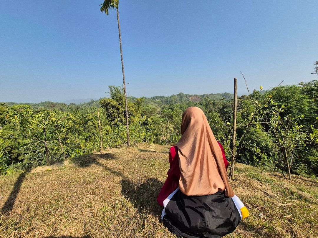 Nazimgarh Wilderness Resort主图
