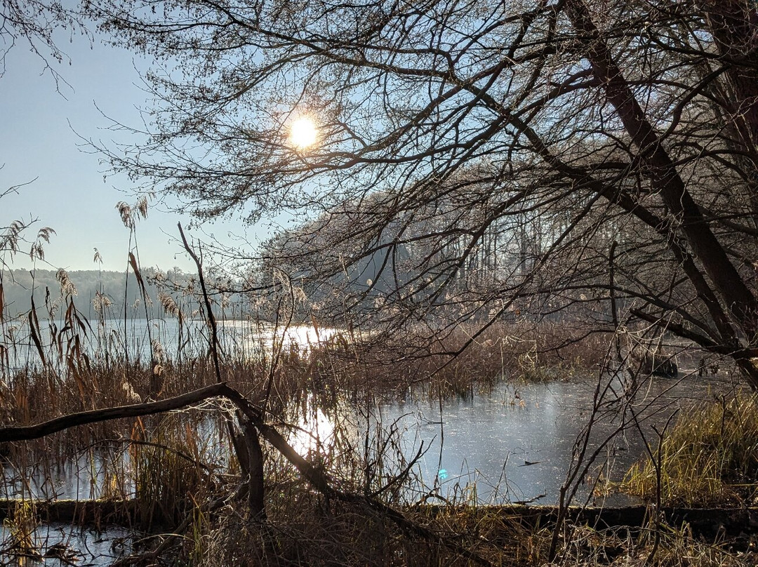 Waldschenke Stendenitz主图