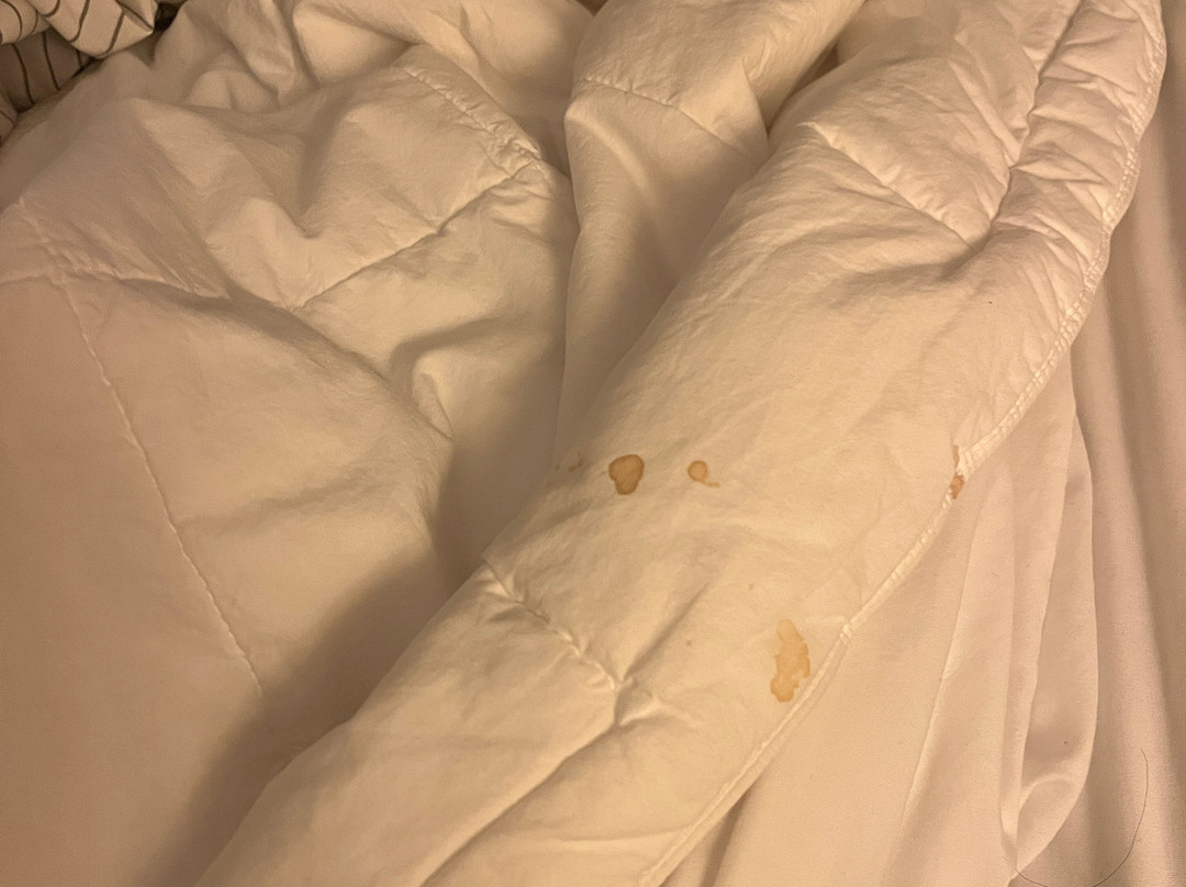 CAMBRiA hotel Columbus - Polaris主图