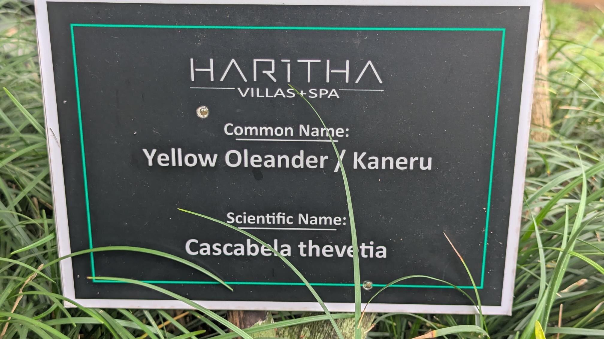 Haritha Villas & Spa-浴室