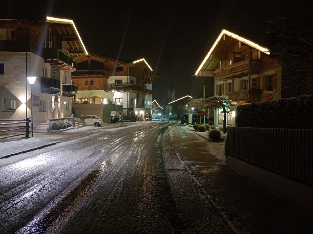 Dorfhotel Kaltenhauser主图