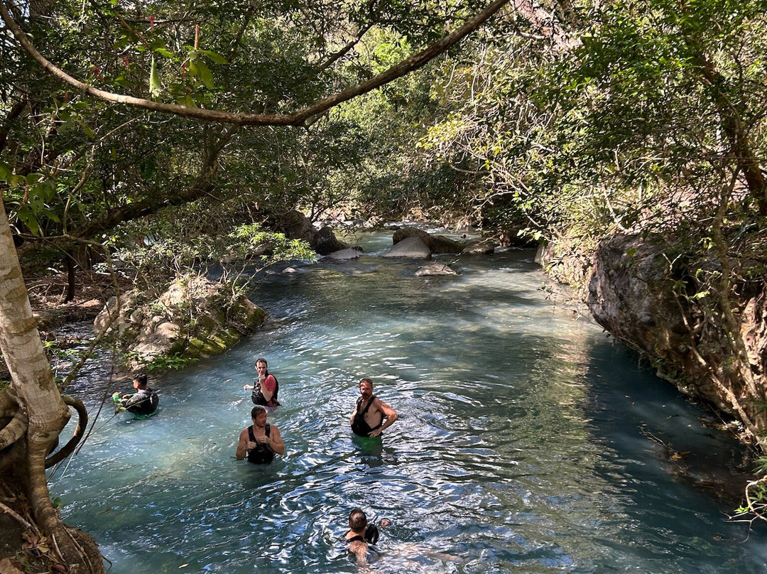 La Leona Waterfall景点图片