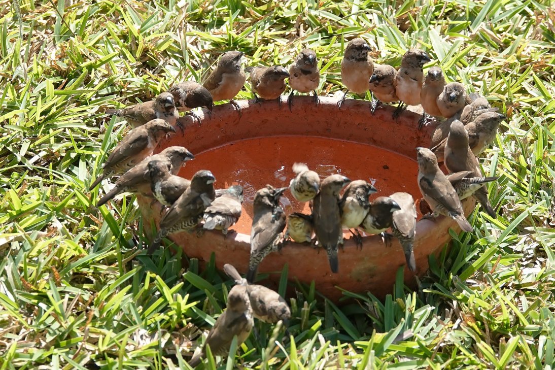 里欧海滩休闲酒店及餐厅 - 限成人入住-浴室