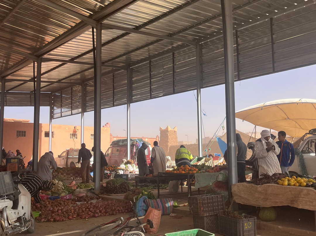 Sahara Light-扎古拉必去景点