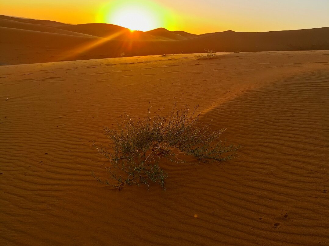 Saharastern-扎古拉必去景点