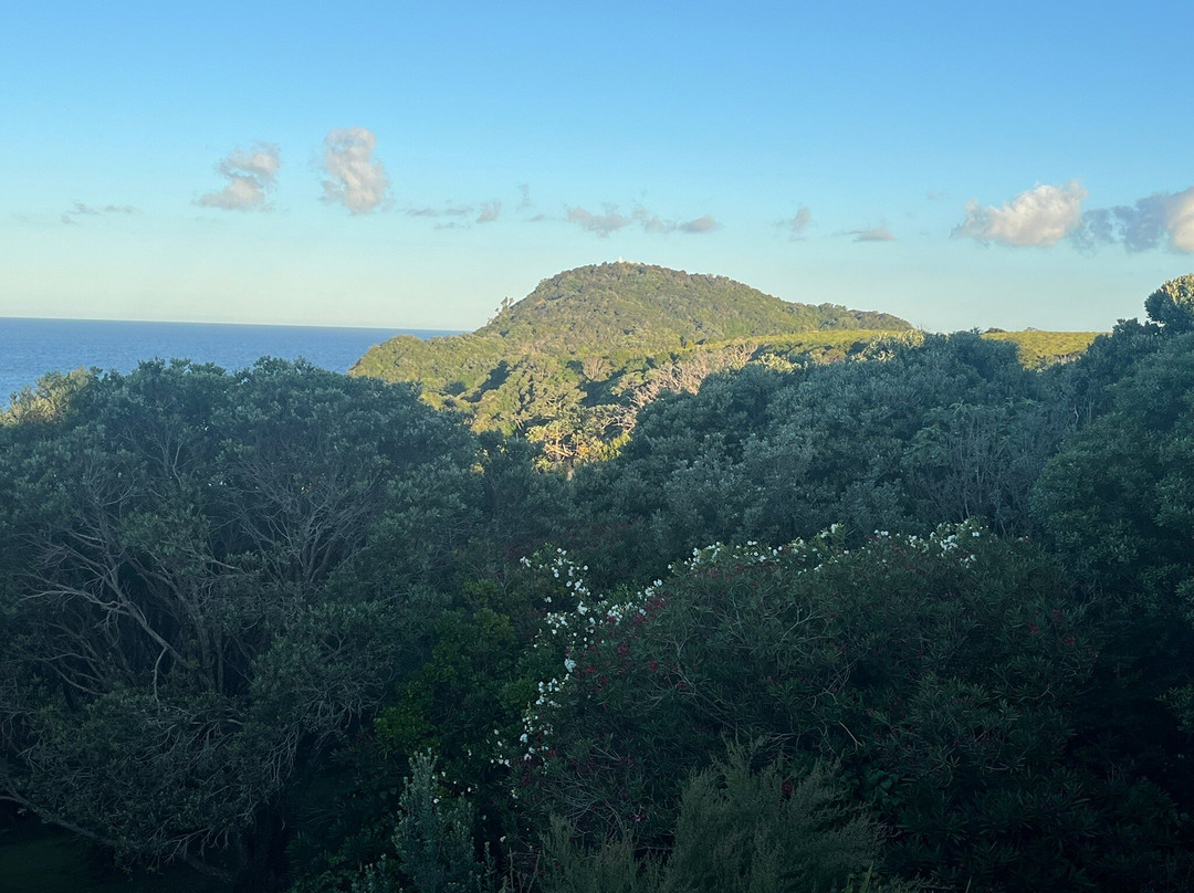 The Light House Lookout主图