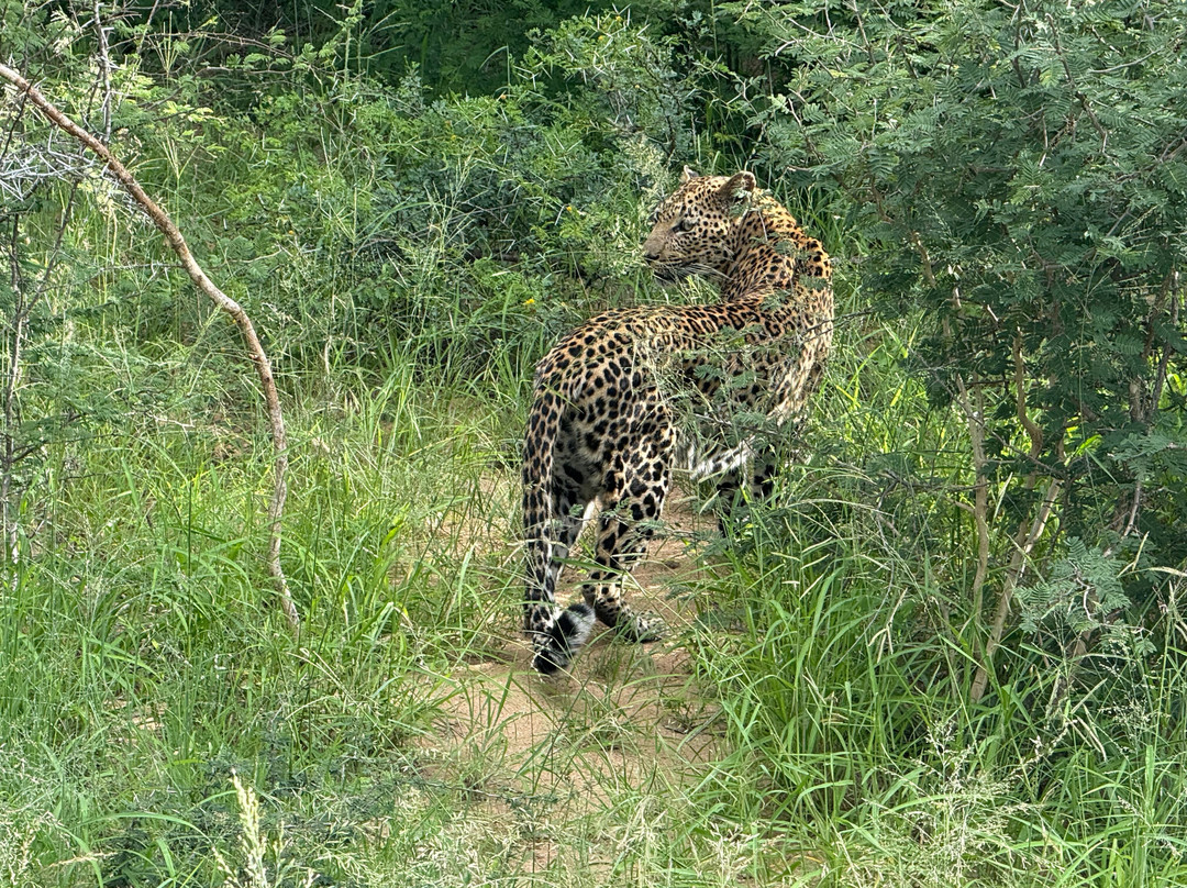 Into Africa life changing experiences-Seronera必去景点