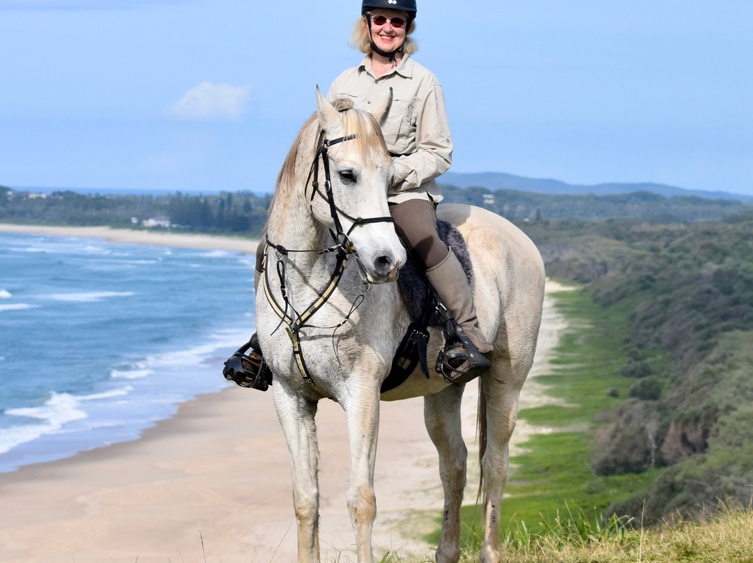 Kerewong Horse Farm Nsw-Lorne必去景点