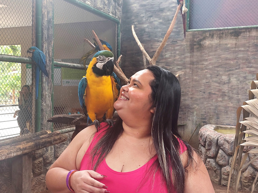 Ecopark Sol e Mar-Maragogi必去景点