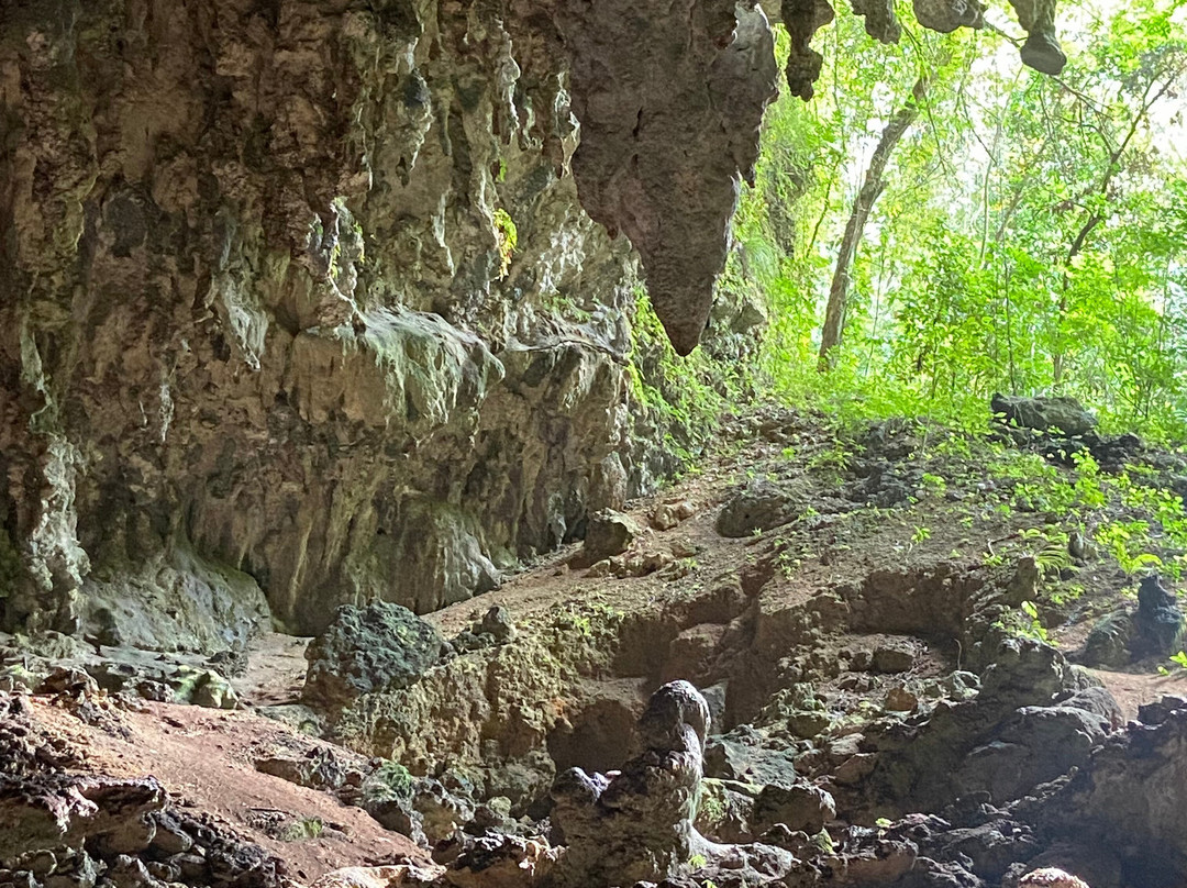 Tanama River Adventures-Utuado必去景点