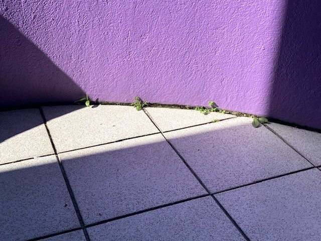 Xandari Resort & Spa主图