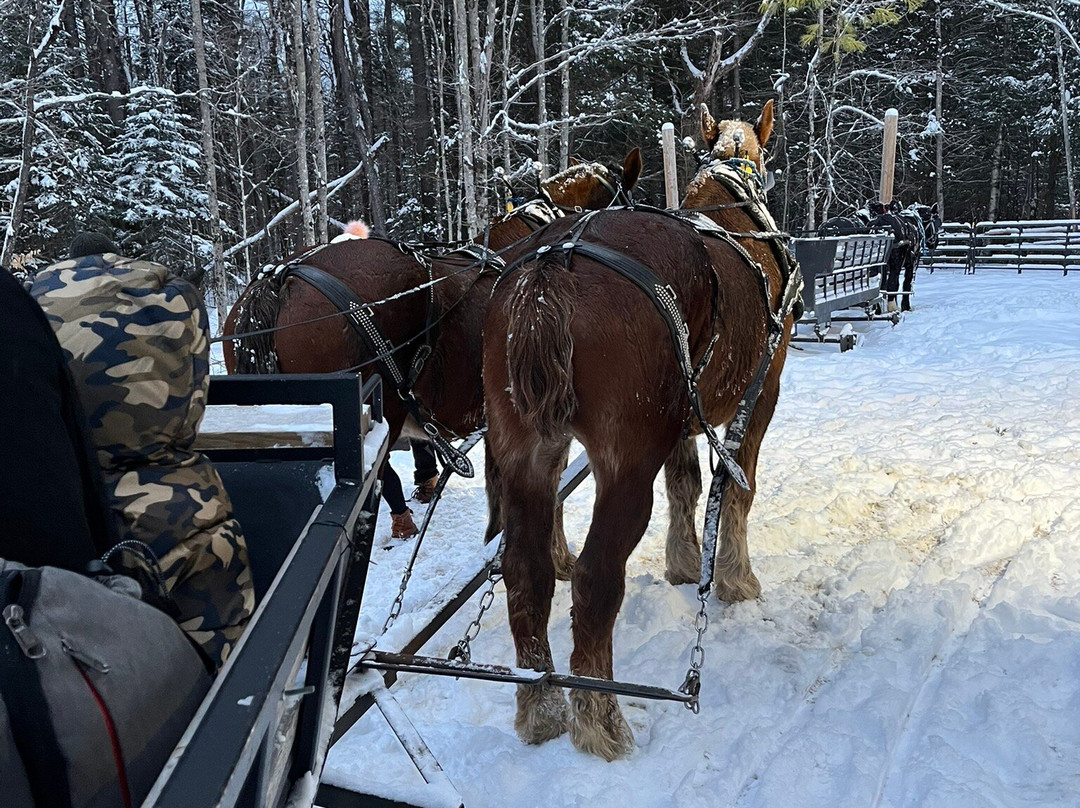 Ice Castles-Woodstock必去景点