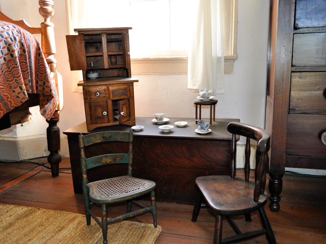 Ximenez-Fatio House Museum景点图片