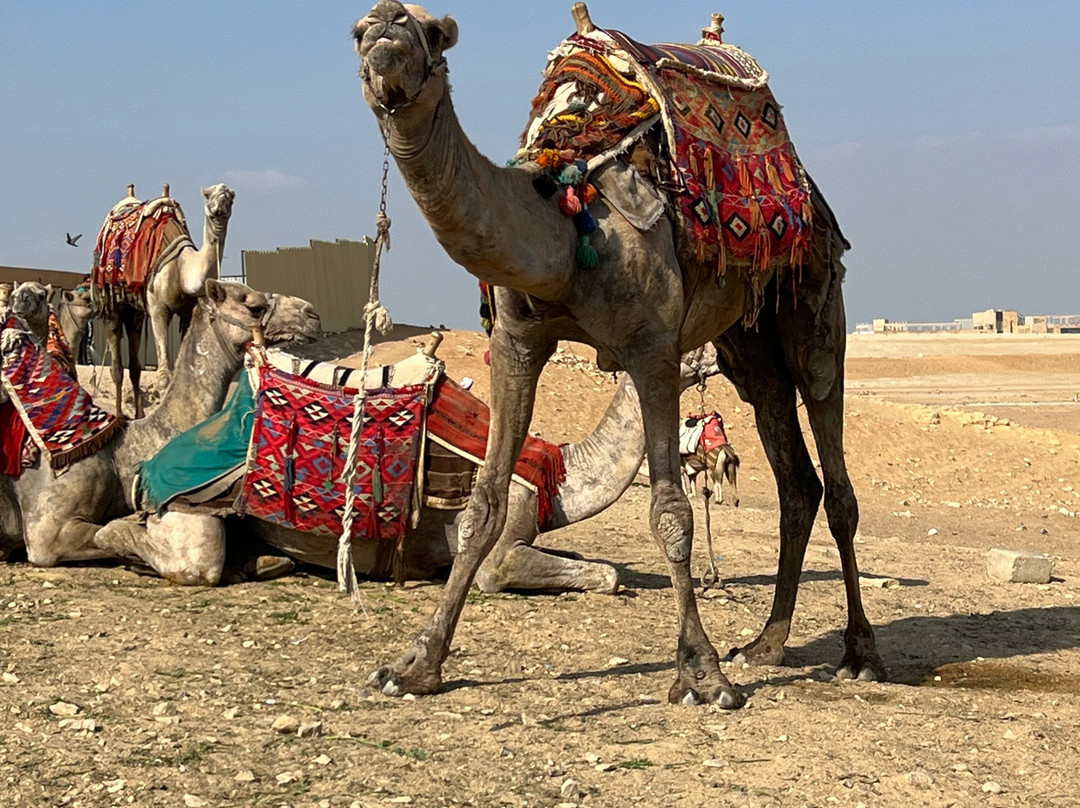 Jakada Tours Egypt-吉萨必去景点