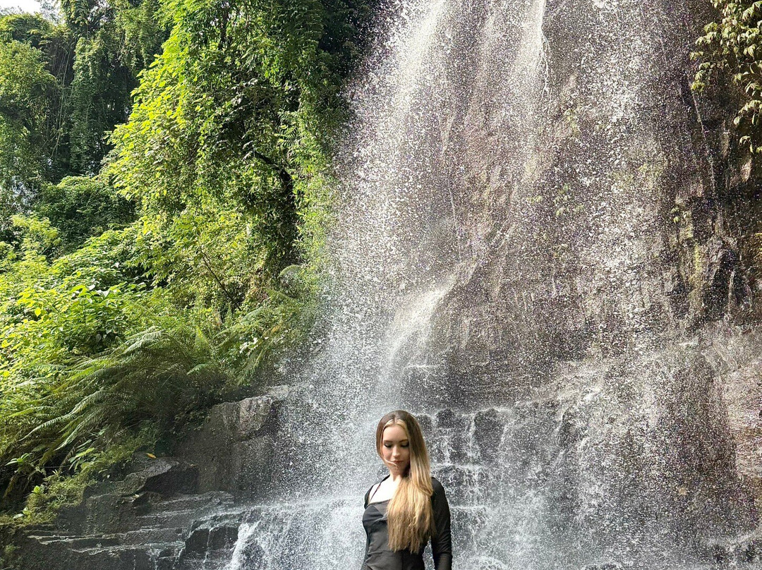 Temesi Waterfall-吉安雅必去景点