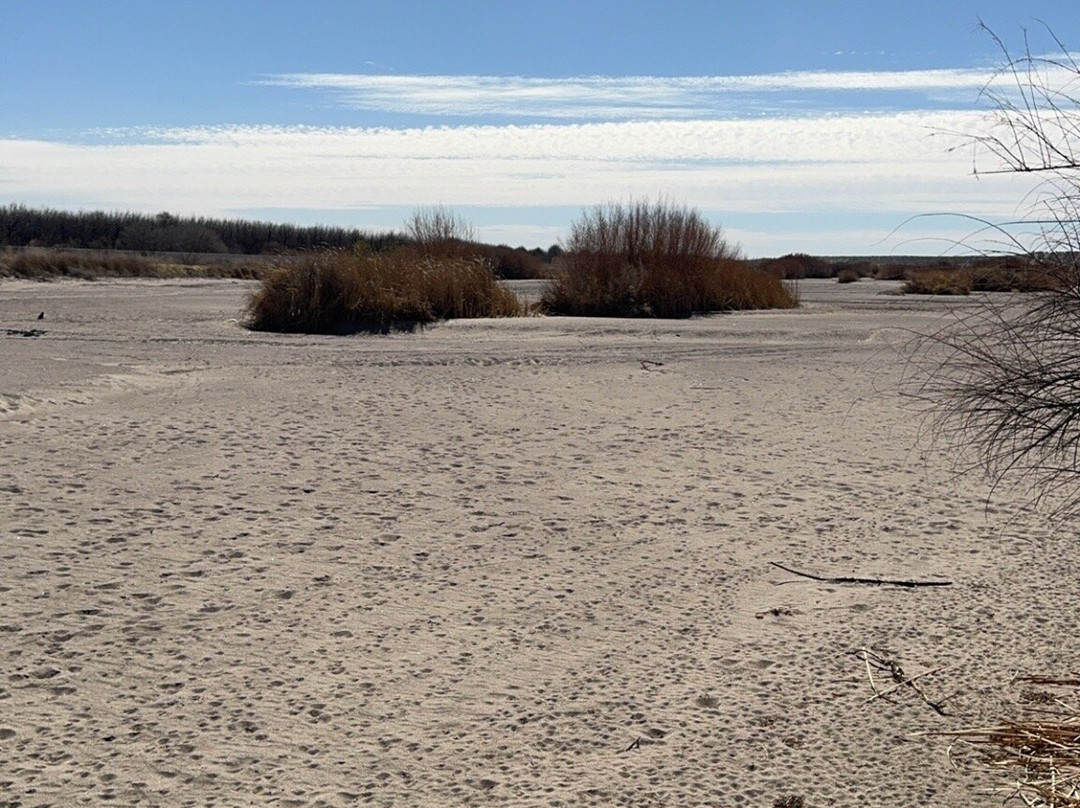 Mesilla Valley Bosque State Park景点图片