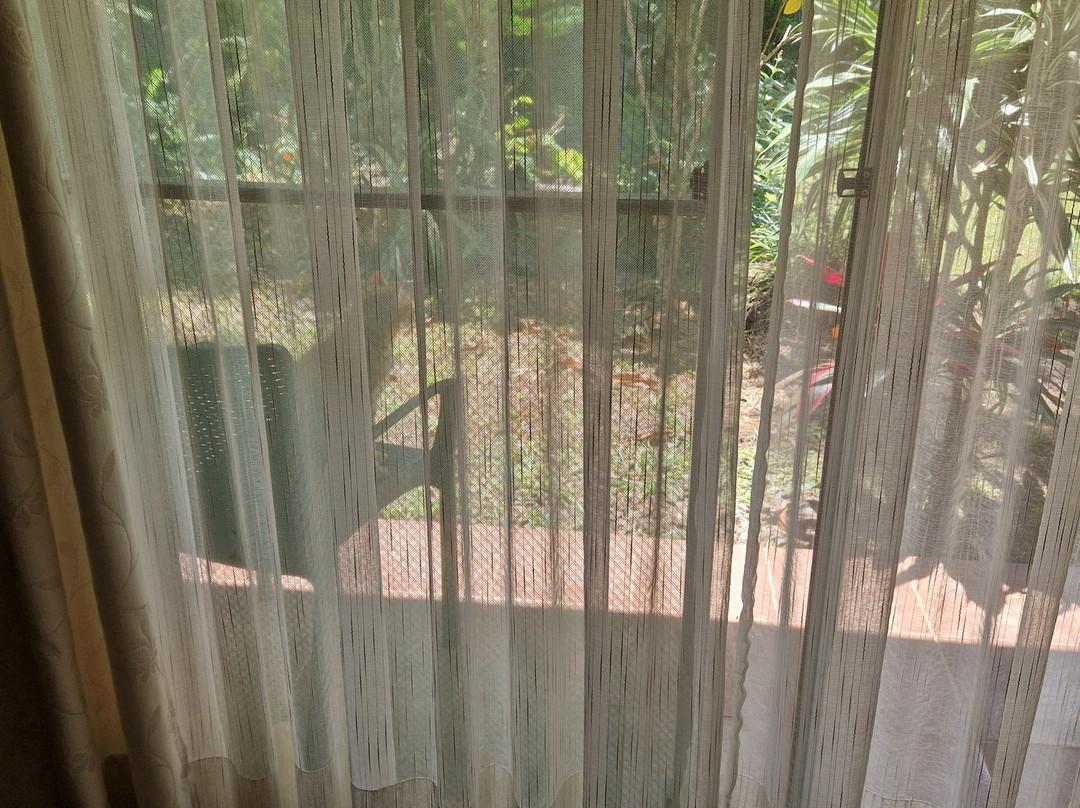 Easter Island Eco Lodge主图