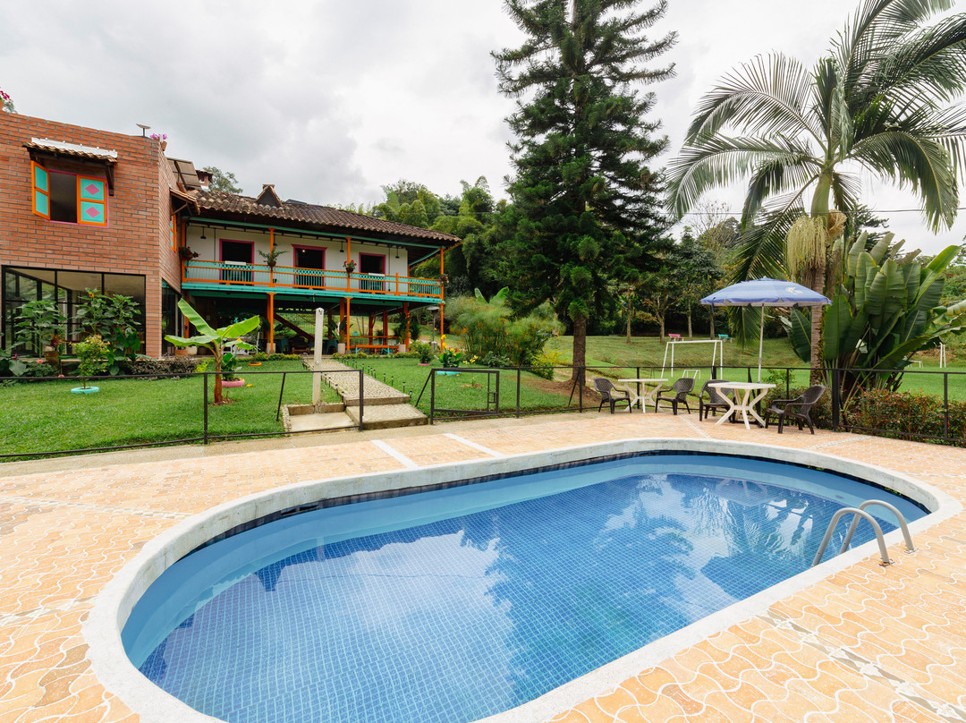 Isla De Pascua - Jardín - Hostel主图