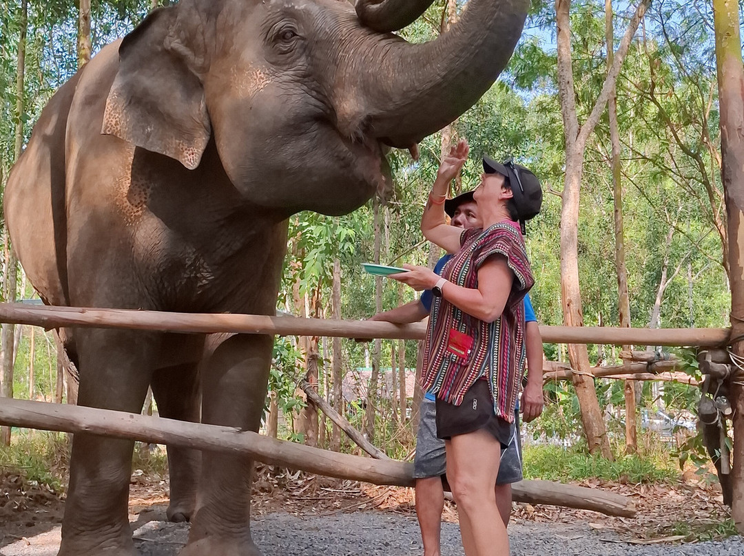 Elephant Care Park​ Phuket​-呈塔累必去景点