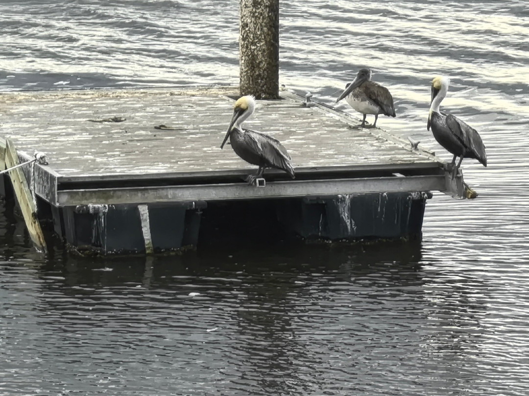 Blythe Island Regional Park-不伦瑞克必去景点