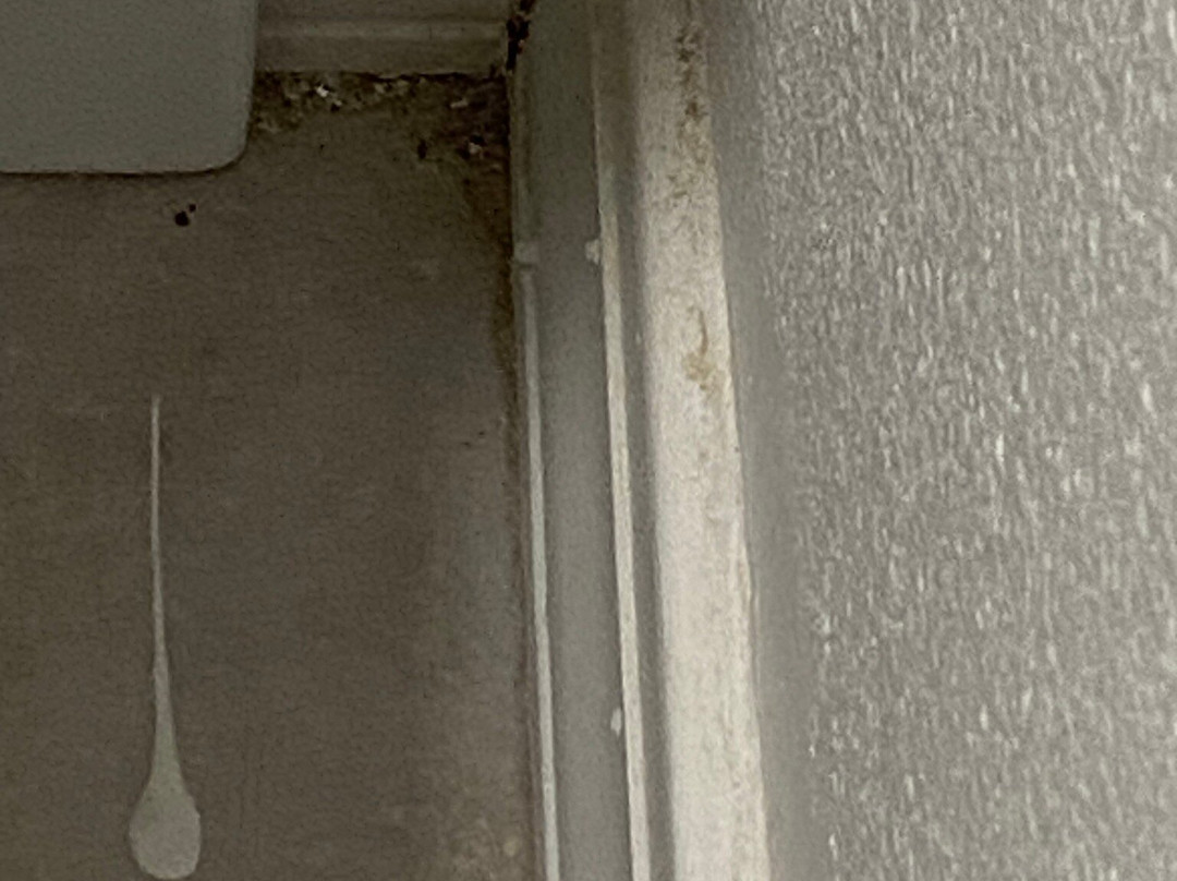 Quality Inn & Suites主图