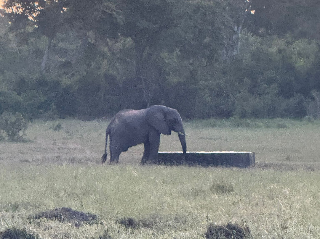 Watamu Bikes-瓦塔木必去景点