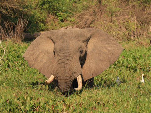 Frena Adventures-吉佳利必去景点